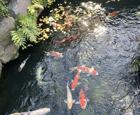 悩みや誰にも言えない愚痴何でも聞きます トークでお話なんでも聞かせていただきます！！3日間限定です イメージ1