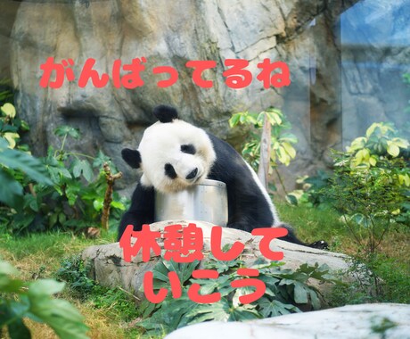あなたの【新生活】応援します まったりお話し◎否定はしません。優しく聞きます～ イメージ1
