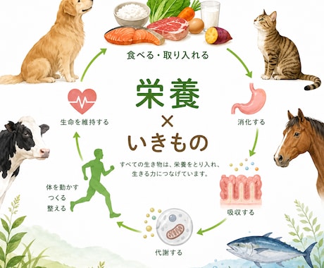 食事メニューの栄養レビューを作成します ヒト・ペットの食事内容の解説と必要に応じた改善案の提供 イメージ1
