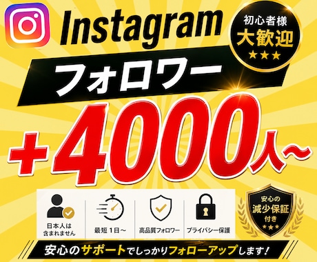 Instagramフォロワー＋4000人増やします 振り分け可能/ゆっくり増加可能/減少保証付き イメージ1