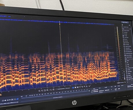 業界標準ソフトでの音源のノイズ除去致します 楽器演奏や歌、ナレーション等の音源に載ったノイズを除去 イメージ1