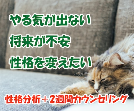 臨床心理士が「性格分析＋カウンセリング」します 人間関係、将来が不安……あなたの性格に沿った解決策を考えます イメージ1