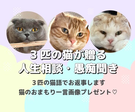 3匹の猫が三者三様の視点でお悩み相談に乗ります 甘々の弟、知的な兄、武士な猫。3匹の視点で心を軽くするニャ イメージ1