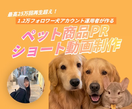 大型犬出演！ペット用品のPR用リール動画を作ります 最高25万再生の愛犬家が、縦型ショート動画を制作します イメージ1
