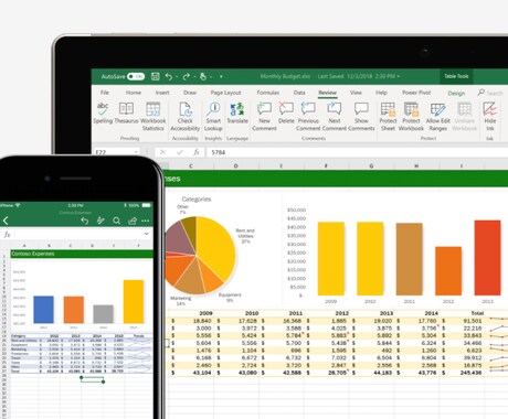 Excelのデータ入力、関数、グラフ作成します Excel全般サポートします。 イメージ1