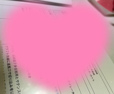 大人気！心臓血管外科手術手順書お渡します 心臓血管外科/手術/手術室看護師/②カニュレーション イメージ2