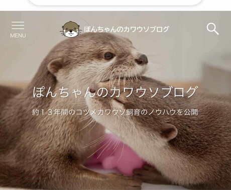 とても美しいワードプレスブログの制作をいたします 実績のあるサービスなので、サービス内容をチェックしてください イメージ2