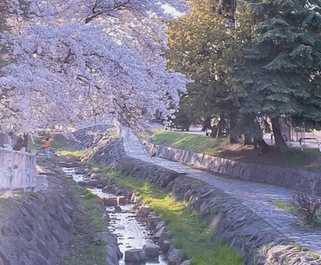 濃い人生を歩んできた、あなたの痛みに寄り添います 恋愛、仕事、心身の悩みどんな事も丸ごと味方になり寄り添いたい イメージ1