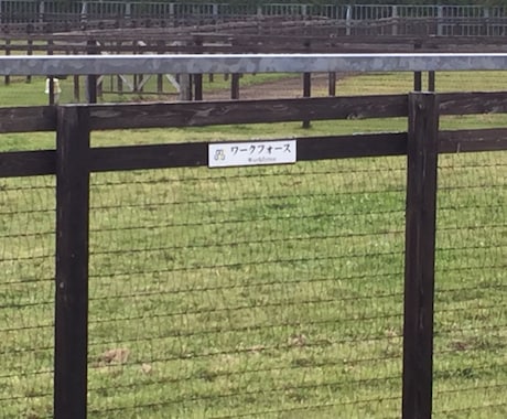 地方競馬のが儲かるよ？競馬で副業はじめよー☆ます 競馬で負けてばっかのあなたへ☆ イメージ2