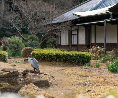 神奈川│プロカメラマンによる写真撮影代行します 撮影スポットから撮影・編集まで一括にご相談ください イメージ1