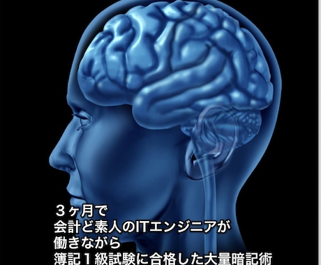 【難関資格試験を目指す方必見】３ヶ月で会計素人の社会人が働きながら簿記１級試験に合格した大量暗記術 イメージ1