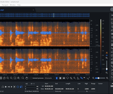 音声ファイルのノイズ除去、各種補修します 最新ノイズ除去＆音楽ソフトの併用で、あらゆる音声に対応可能！ イメージ1