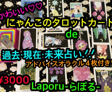 かわいい!!にゃんこカードで過去現在未来占います 【10名様限定!鑑定時の画像無料特典付き♡】 イメージ1
