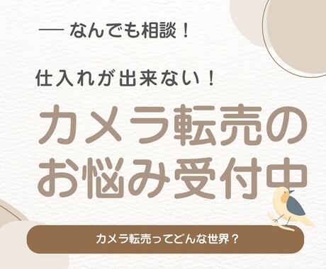 カメラ転売に関する質問悩みをテキストでお聞きします 判断に迷うカメラ転売の悩みを文章で整理します イメージ1