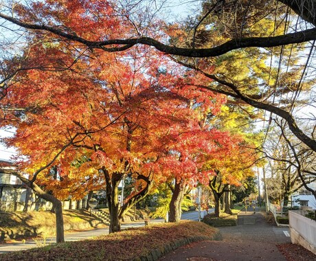 あなたが撮影した写真を補正します 人物、物、風景なんでも構いません！ イメージ2
