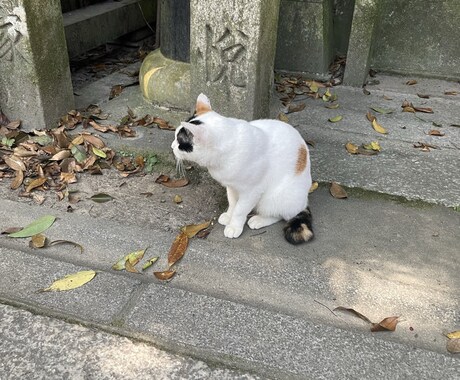 いろいろなご相談乗ります うつ病の経験したからこそあなたに寄り添います。 イメージ1