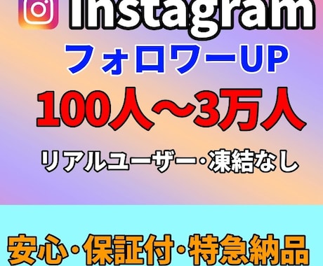 Instagramのフォロワー増やします インスタフォロワー100人～対応可！高品質〜10000人まで イメージ1