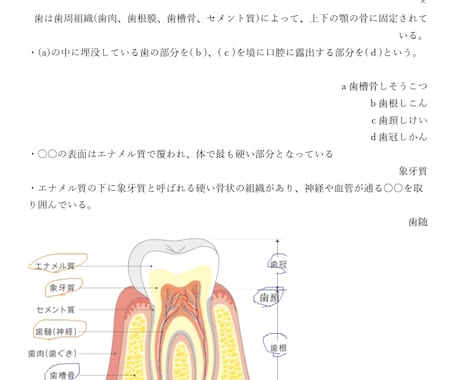 登録販売者試験の一問一答問題を大量に提供します 昨年独学で正答率96％以上で合格！その時に作った資料です。 イメージ2