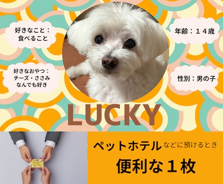 ペットのプロフィールカードを表裏で作ります 犬猫など大切なペットの情報を、預けるときに安心できる１枚に。 イメージ1