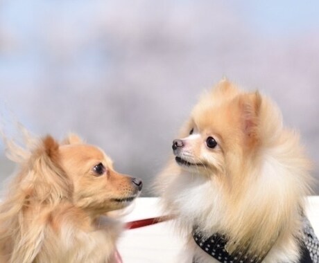 お友達へのプレゼントにも喜ばれます 絵で感動する未来をお約束致します！ イメージ2