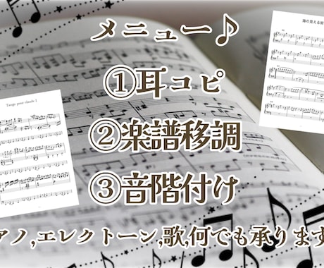 実績20件までの限定価格！楽譜制作承ります 音楽したい！をお手伝い！耳コピはレベル変更も可♪ イメージ2