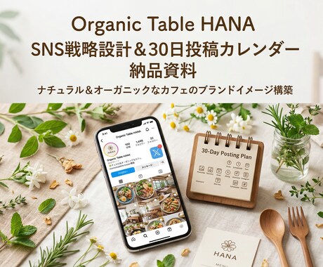 SNS戦略設計＆30日カレンダーを作成します 競合分析→30日設計→月次改善まで イメージ1