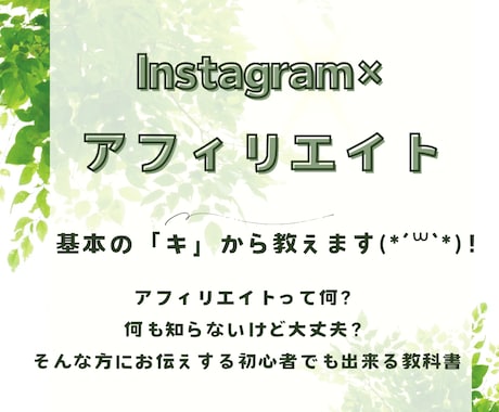 11月特別価格！インスタ×アフィリの基本を教えます 初心者の私も実践！インスタアフィリエイトの教科書(*´꒳`* イメージ1