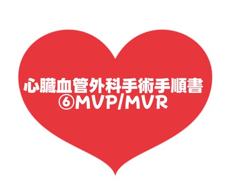 大人気！心臓血管外科手術手順書お渡しします 心臓血管外科/手術/手術室看護師/⑥MVP/MVR イメージ1