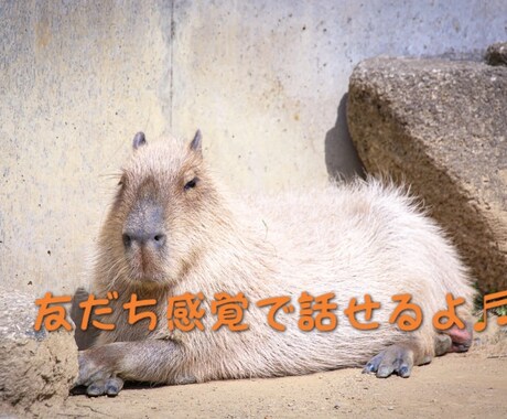 お友だち感覚で❣️気軽にお話し出来ます 堅苦しいのが苦手な方･*リラックスしてお話ししましょう✧₊ イメージ2