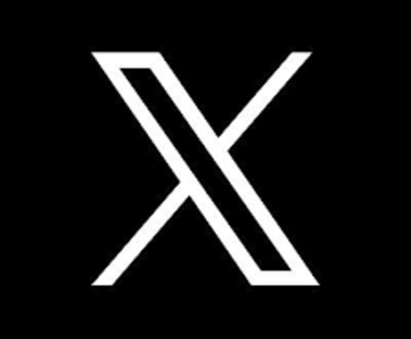 Xアカウント運用代行を低価格で行います 好きなサービス内容を選んで、超低価格から依頼できる運用代行！ イメージ1