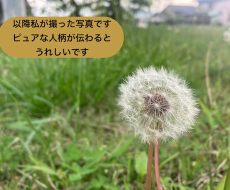 大人になってもほめてほしい✨承認欲求を満たします 仕事/人間関係/ストレス/愚痴/雑談/HSP/ありのまま イメージ2