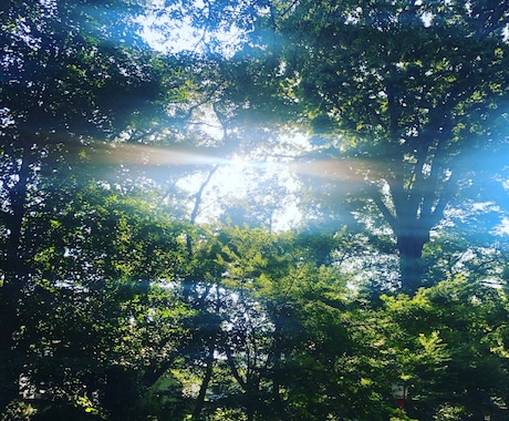 小さなモヤモヤ紐解きます お抱えのモヤモヤ、整頓してスッキリしませんか？ イメージ1