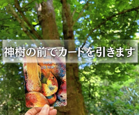 神樹鑑定・魂の目的 / 使命リーディングします なぜ私ばかり辛い目に？生きづらさの正体と魂が求める方向が判明 イメージ2