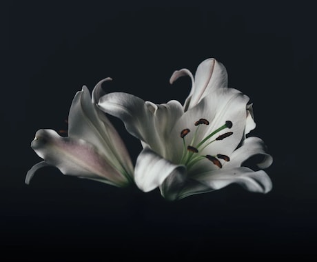 ふーん‥しか言いません。どんな話もサラッと聞きます 1分〜OK/アドバイス一切なし/否定なし肯定なし イメージ2