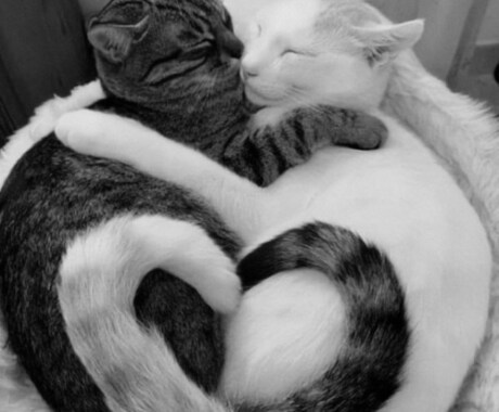 あなたの大好きなあの人とご縁を結びます 気になるあの人ともっと仲良く♥️ イメージ1