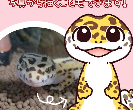 シンプル可愛い！アニマルイラストを描きます 写真がなくても大丈夫！動物名だけでもOK！ イメージ2