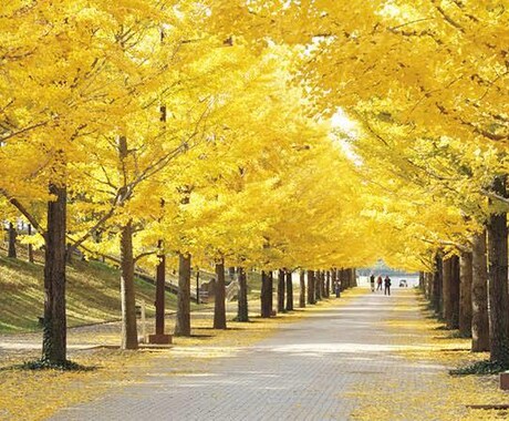 どんな時でも心に寄り添います 相談される方の心の拠り所になり、幸せになってもらいます。 イメージ1