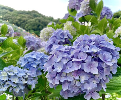 ３日間お話し聞きます のんびり　まったり　ちょっとでも楽しいなお時間を イメージ1