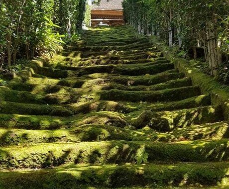 あなたにピッタリの旅行プランを提供します 国内外での一人旅経験を活かし、旅行プラン作成サポートをします イメージ2