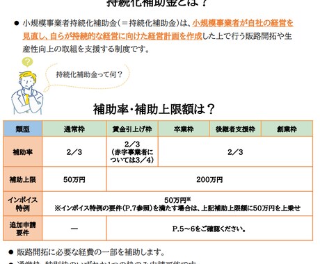 持続化補助金（第１２回公募）の計画書を作成します 補助金資料作成のプロ（元官僚）が申請書作成のお手伝いをします イメージ2