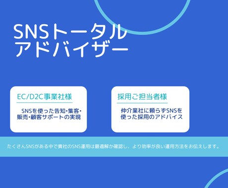 SNSのトータルアドバイザリーをします スタートアップにおけるSNS運用のアドバイスをしています イメージ1