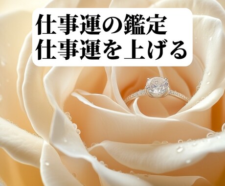 仕事運の鑑定＋仕事運を上げる事をします ☆【定期購入】5ヶ月目に20％割引クーポン発行します☆ イメージ1