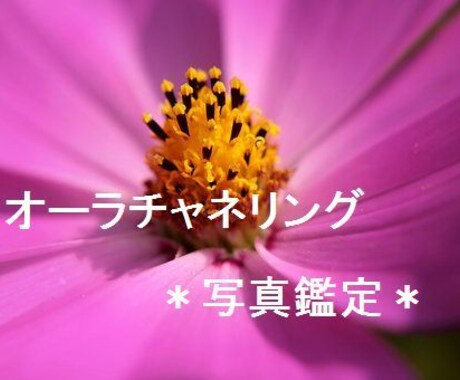 チャクラ＆オーラリーディング＋ヒーリングします オールマイティにあらゆるお悩みに対応できます イメージ1
