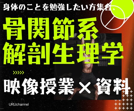 骨関節系解剖生理学をわかりやすく解説します 理学療法士兼講師の私が骨関節系解剖生理学をわかりやすく解説！ イメージ1