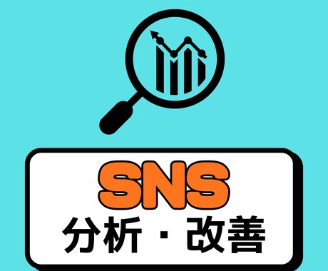 SNSの伸びない原因を分析、改善策を提案します あなたのSNS、専門家の視点で分析します。 イメージ1