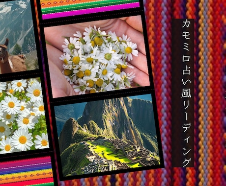 南米アンデスの花があなたの運命を導きます カモミロ（南米カモミール）の精霊が届けるあなたへのメッセージ イメージ1