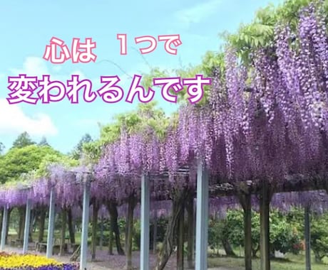 どんな事でも一緒に考えていきます 恋、愚痴、どんな話しも聞きます！アル中の旦那との離婚経験者 イメージ2