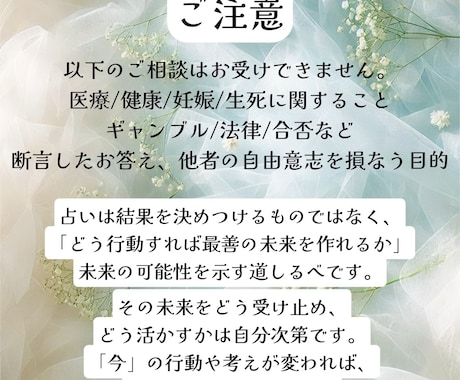 関係の本音と未来を読み解きます お相手の気持ち、未来の行方　深掘り鑑定ꕤ イメージ2