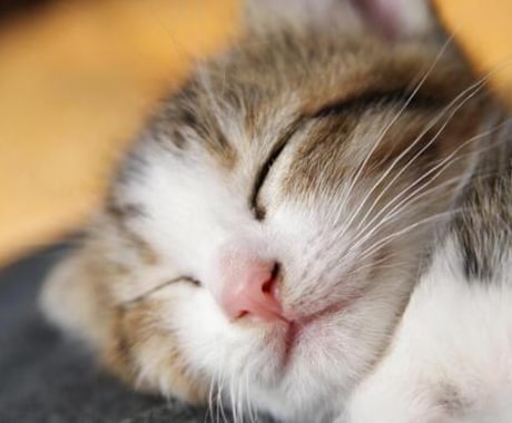 長年不眠症を経験した私が睡眠の悩み、相談に乗ります 不眠の辛さはなった人にしかわかりません。気楽にどうぞ イメージ1