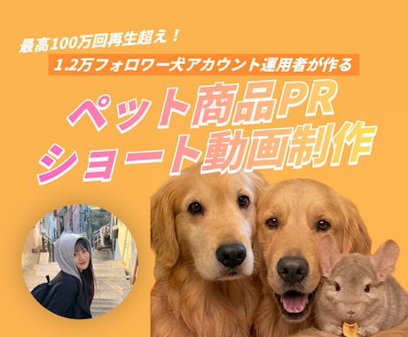 大型犬出演！ペット用品のPR用リール動画を作ります 最高100万再生超えの愛犬家が、縦型ショート動画を制作します イメージ1